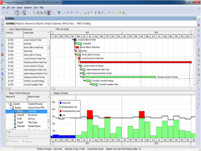 Screenshot: Primavera P6 Professional Project Management